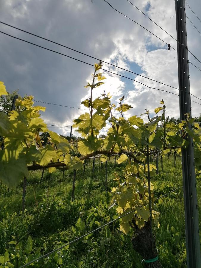 Ferienhaus Penitz Großklein Zewnętrze zdjęcie